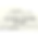 sale banner-3.png
