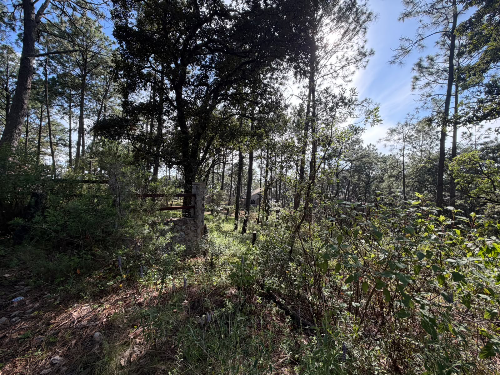 Terreno Tapalpa 2