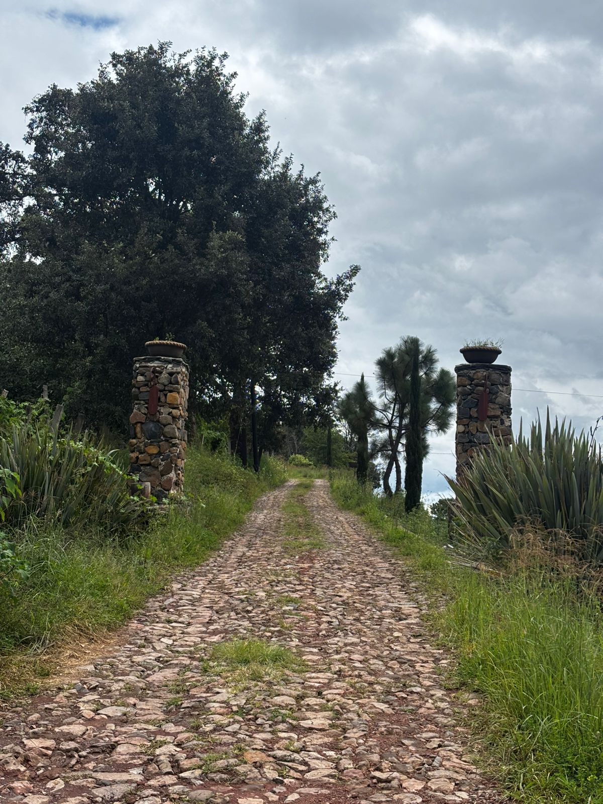 Terreno Las Cuevas 2