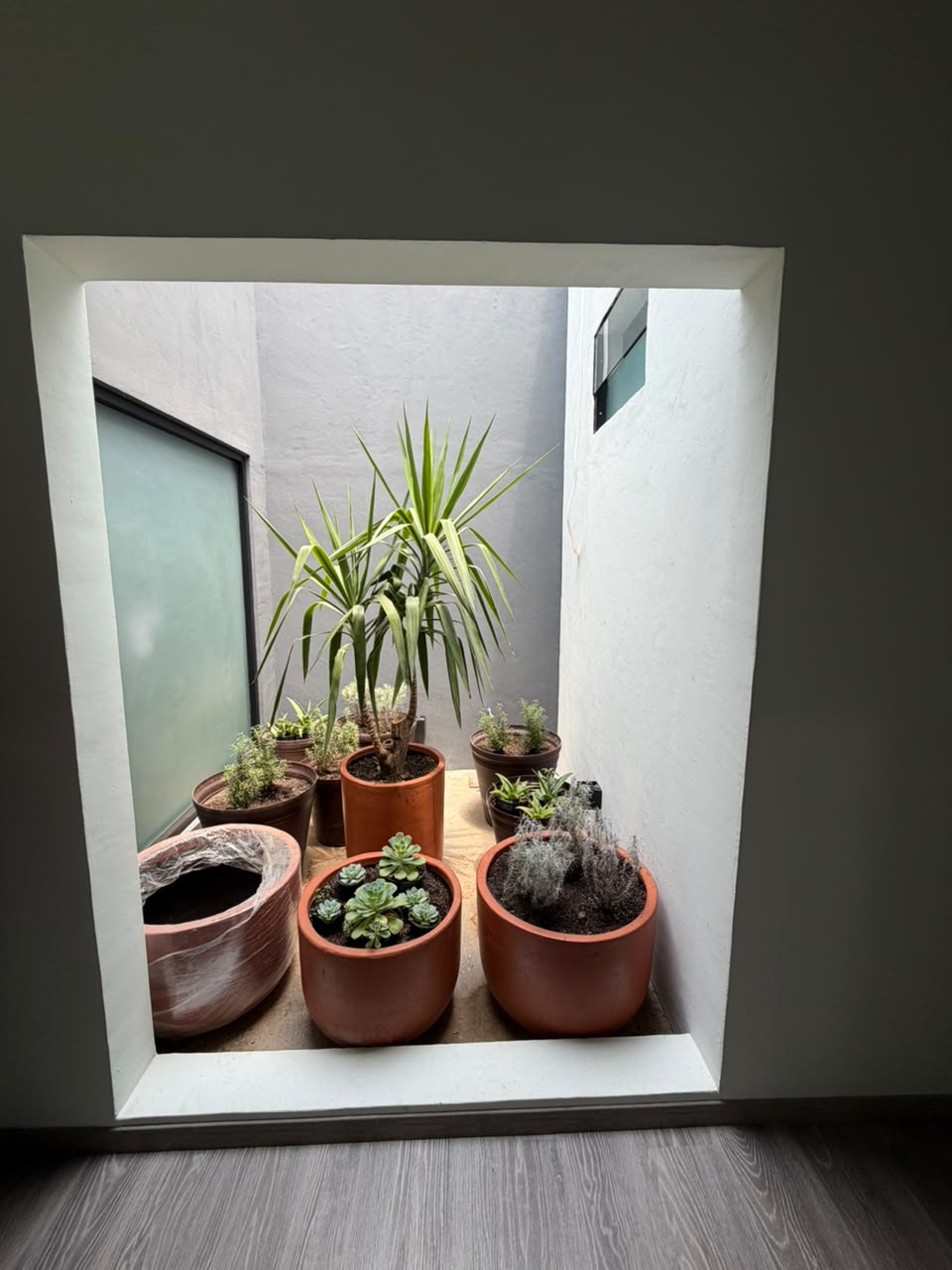 Consultorio 10 14