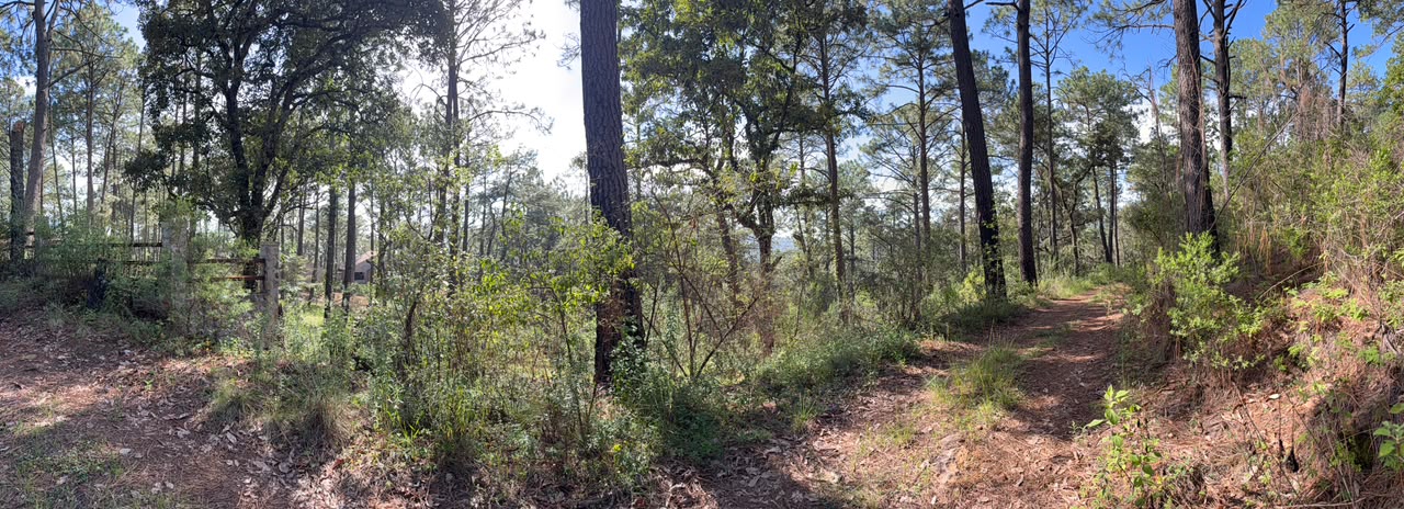 Terreno Tapalpa 5