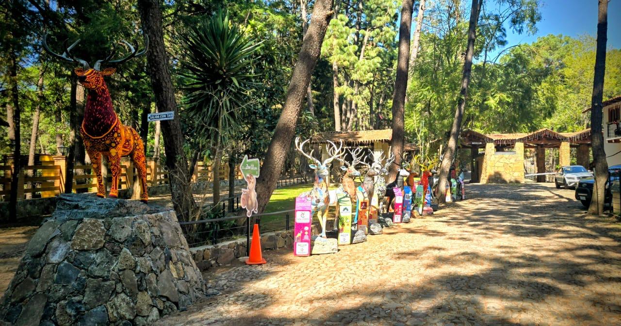 Terreno Los Cazos 11