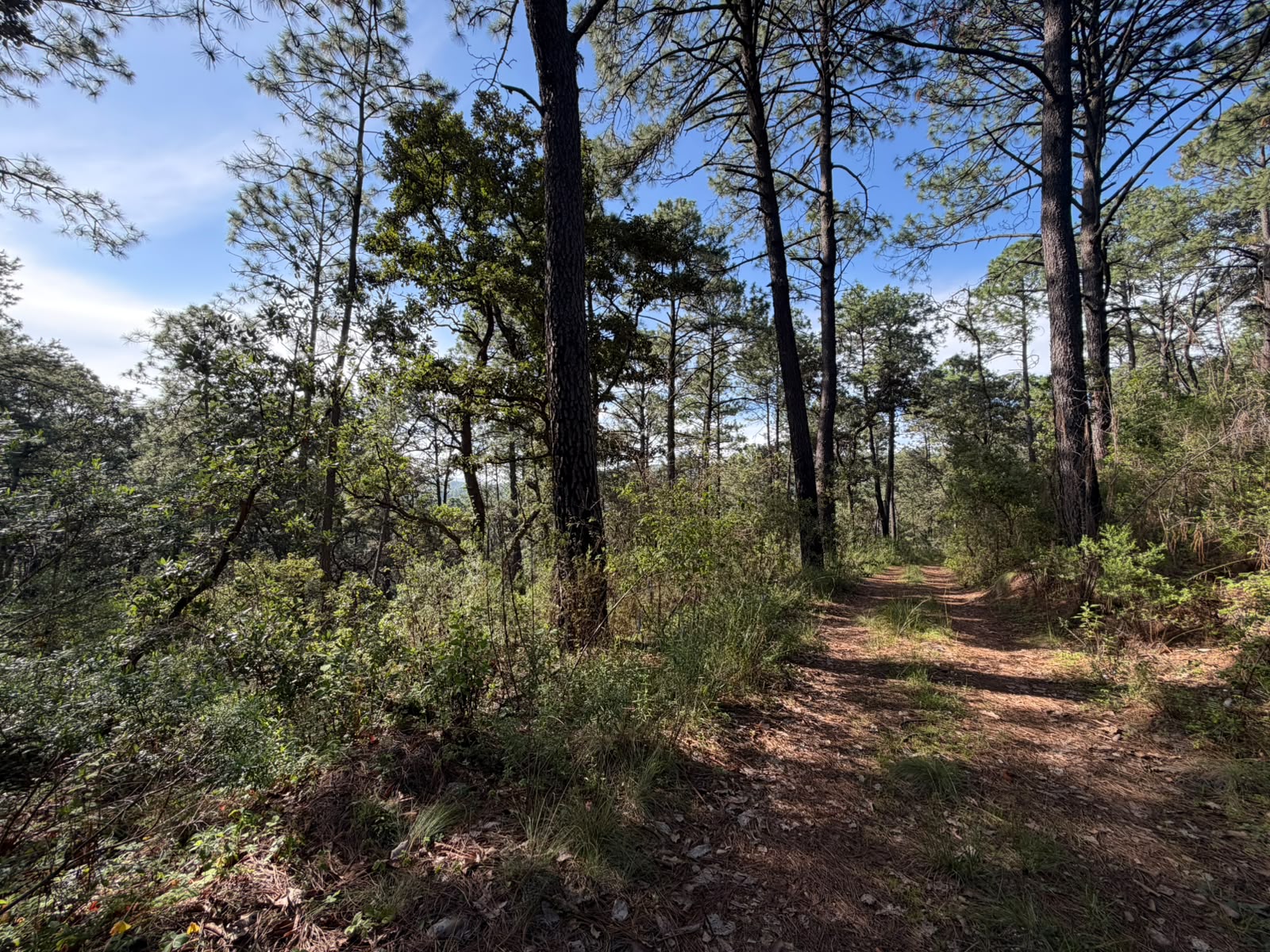 Terreno Tapalpa