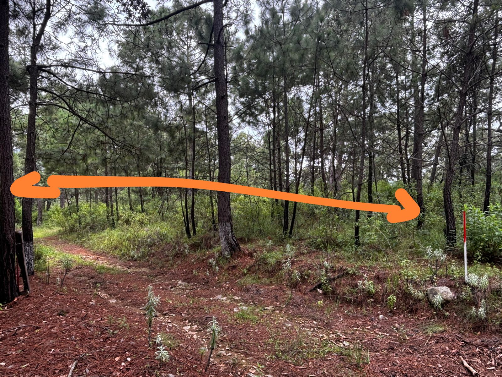 Terreno Las Cuevas 4