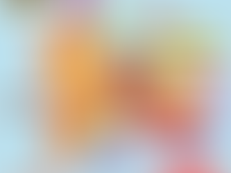 Anatomie : L'Oreille