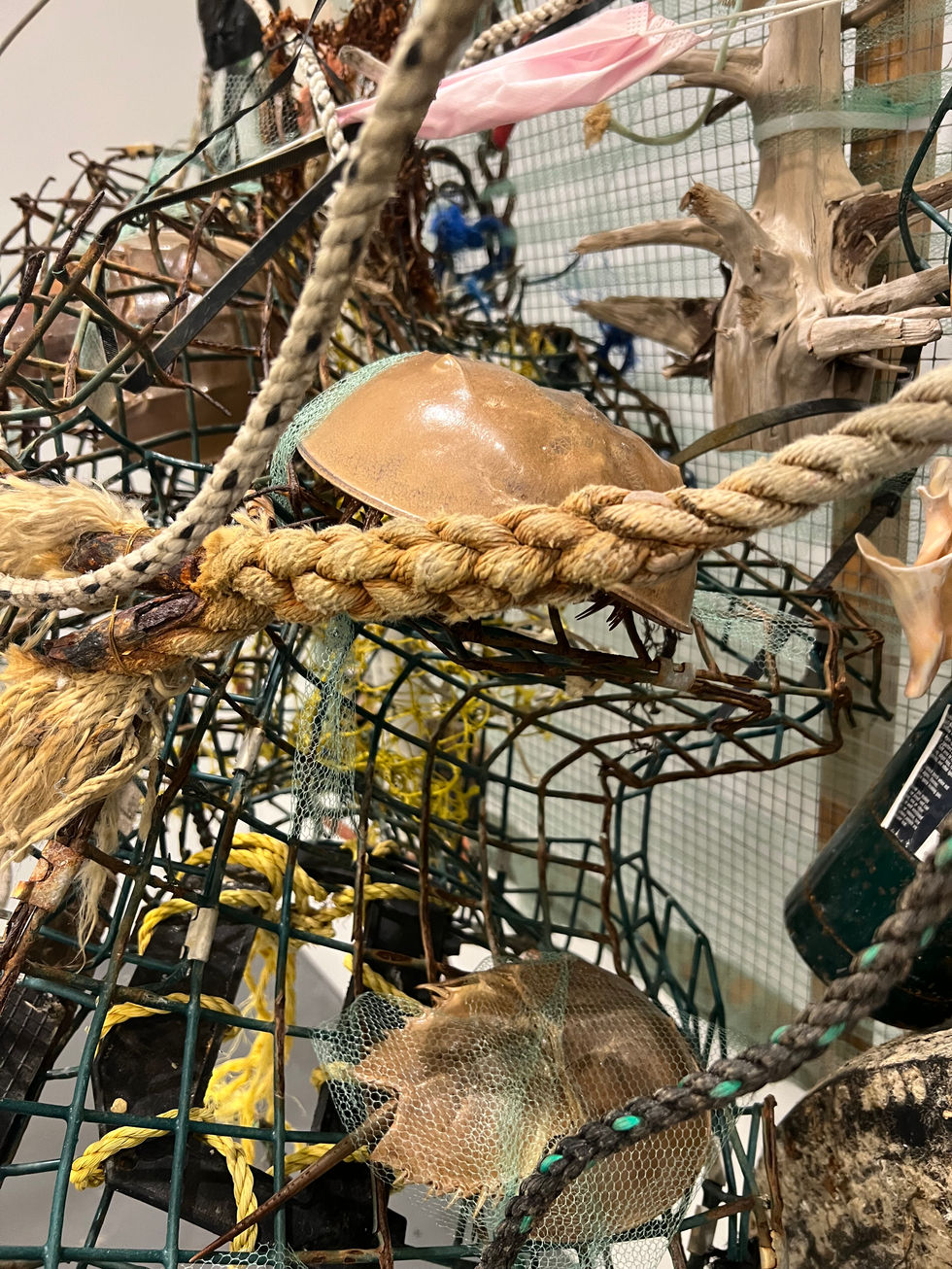 sculpture detail with rope and horseshoe crab