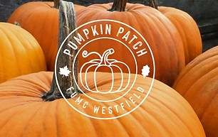 FUMC Pumpkin Patch 2024.png