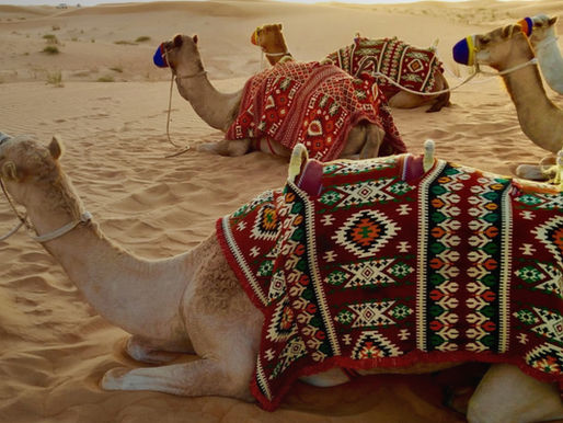 A Week in Dubai: What a Skylark Journeys Sample Itinerary Looks Like