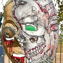 IMG_20211031_114330506_HDR~3_edited.png