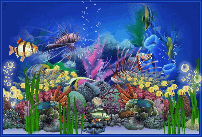 aqua 1.gif