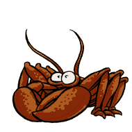 crabes_035.gif