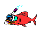 poisson_051.gif