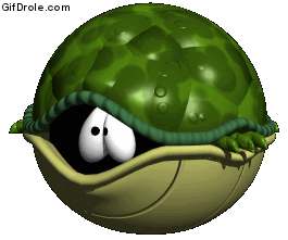 Tortue_dans_sa_carapace.gif