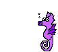 hippocampe_009.gif