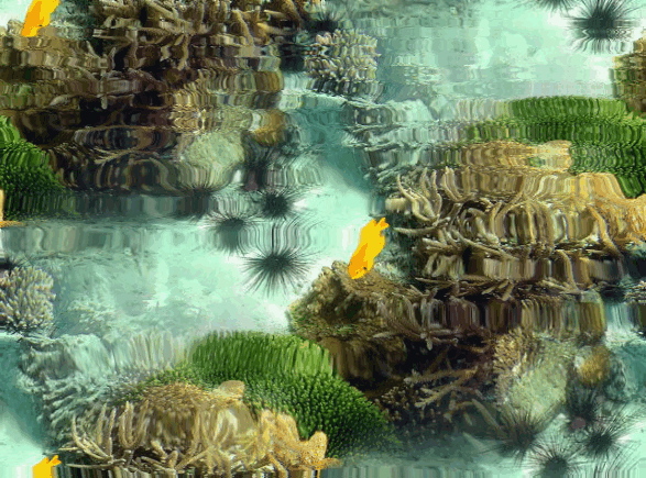 AQUARIUM VERT.gif