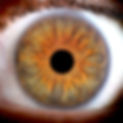 iris photography, iris art, iris art galerie, iris gallery, iris galeri, eye photography, göz fotoğrafı, iris fotoğrafı, göz kolyesi, Professional iris photography, iris galeria, eye photo, Professional iris photography, iris photo, macro eye photography, iris photo art, iris studio, iris gallery, iris galerie, iris galeri, luxury iris photography, iris photo booth, iris fontography, professional iris photo booth, photo booth
