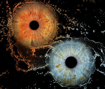 photographie d'iris, art de l'iris, galerie d'art de l'iris, galerie d'iris, iris galeri, photographie des yeux, göz fotoğrafı