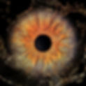 iris photography, iris art, iris art galerie, iris gallery, iris galeri, eye photography, göz fotoğrafı, iris fotoğrafı, göz kolyesi, Professional iris photography, iris galeria, eye photo, Professional iris photography, iris photo, macro eye photography, iris photo art, iris studio, iris gallery, iris galerie, iris galeri, luxury iris photography, iris photo booth, iris fontography, professional iris photo booth, photo booth