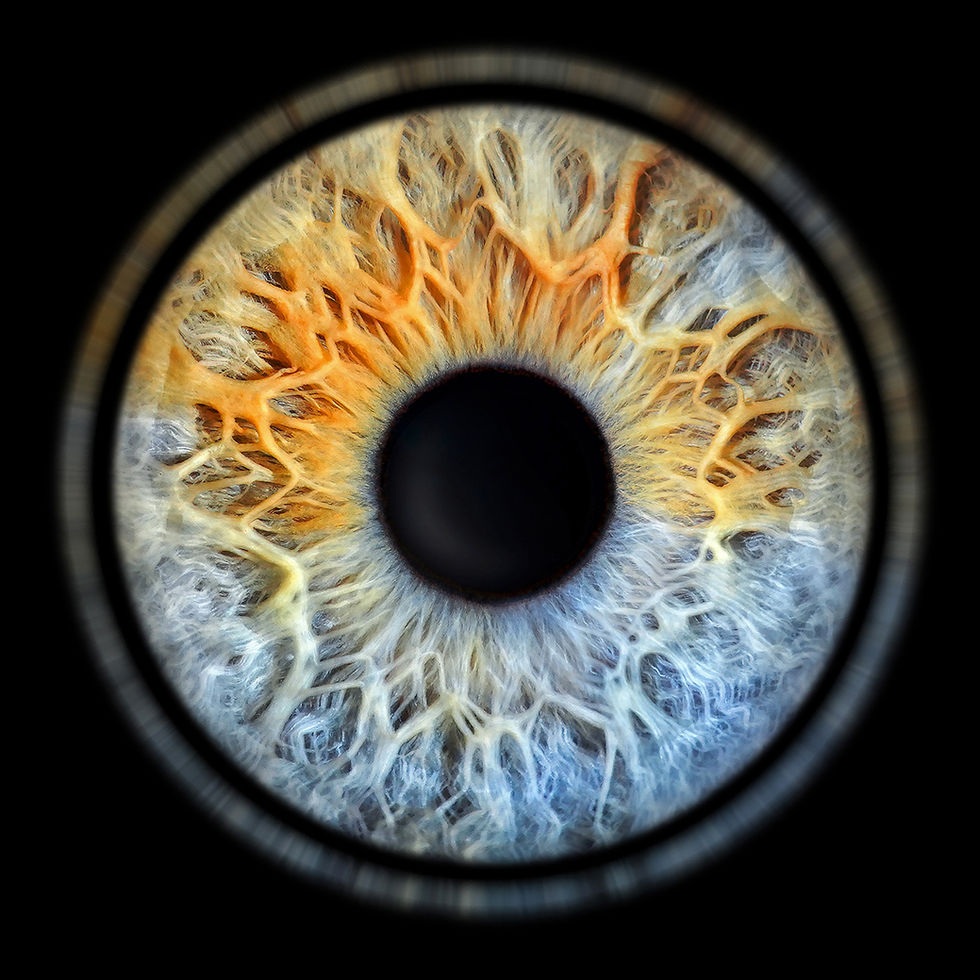 iris photo booth, iris booth, iris headshot booth, irisbooth, iris booth cost, iris booth locations, iris photo booth locations, iris pro photo booth, iris professional photo booth, partnership, franchise, iris franchise, iris photography franchise, iris art franchise, iris photo franchise, iris partnership model, iris franchise opportunity, iris photography business, iris photo studio franchise, iris art partnership, iris photography licensing, iris photography concept, iris franchise program. iris photography, iris art, iris art galerie, iris gallery, iris galeri, eye photography, göz fotoğrafı, iris fotoğrafı, göz kolyesi, iris photo, eye art, personalized art, couple iris photo, macro eye photography, iris photo studio, iris wall art, unique art gift