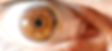 iris photography, iris art, iris art galerie, iris gallery, iris galeri, eye photography, göz fotoğrafı, iris fotoğrafı, göz kolyesi, Professional iris photography, iris galeria, eye photo, Professional iris photography, iris photo, macro eye photography, iris photo art, iris studio, iris gallery, iris galerie, iris galeri, luxury iris photography, iris photo booth, iris fontography, professional iris photo booth, photo booth
