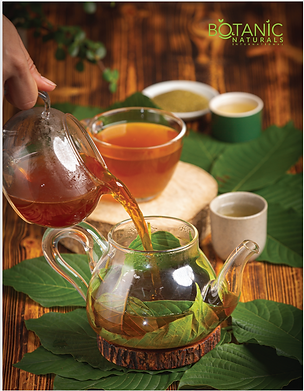 BOTANIC BROCHURE TEA PIC.png