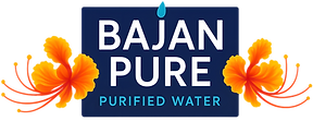 Bajan Pure Logo 2025_edited.png