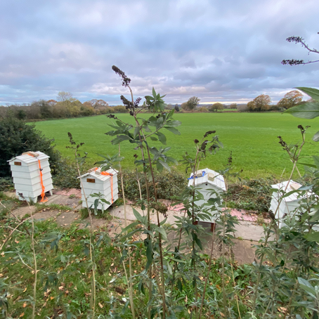 Just can't forget our girls coz its Christmas