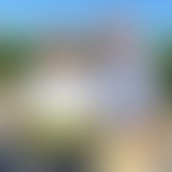 Carmello selects lemons for the Sticky Sisters Honey.