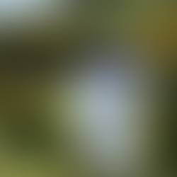 Weather warming up at last