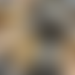 Harvesting and then extracting at last. Loving the new perspex top on our electric spinner. A busy week for the Bees and us. Bring on that sunshine.