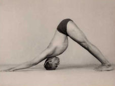 The Intelligence of Hatha Yoga