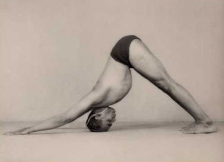 The Intelligence of Hatha Yoga
