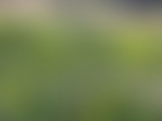 Adjust Your Perspective