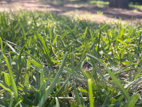 Adjust Your Perspective