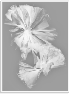 "Kami (Paper)" (2023)
Pigmented Ink on Archival Rag Paper
39 × 29 Inches
Editions of 3 + 1 AP
Fine Art Photography by Jason Quibilan