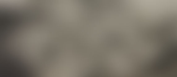 Wie der Panzer (nicht) in die Schweiz kam