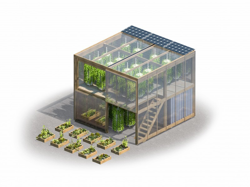 Dentro do sistema é possível produzir ervas, verduras, legumes e plantas frutíferas.
