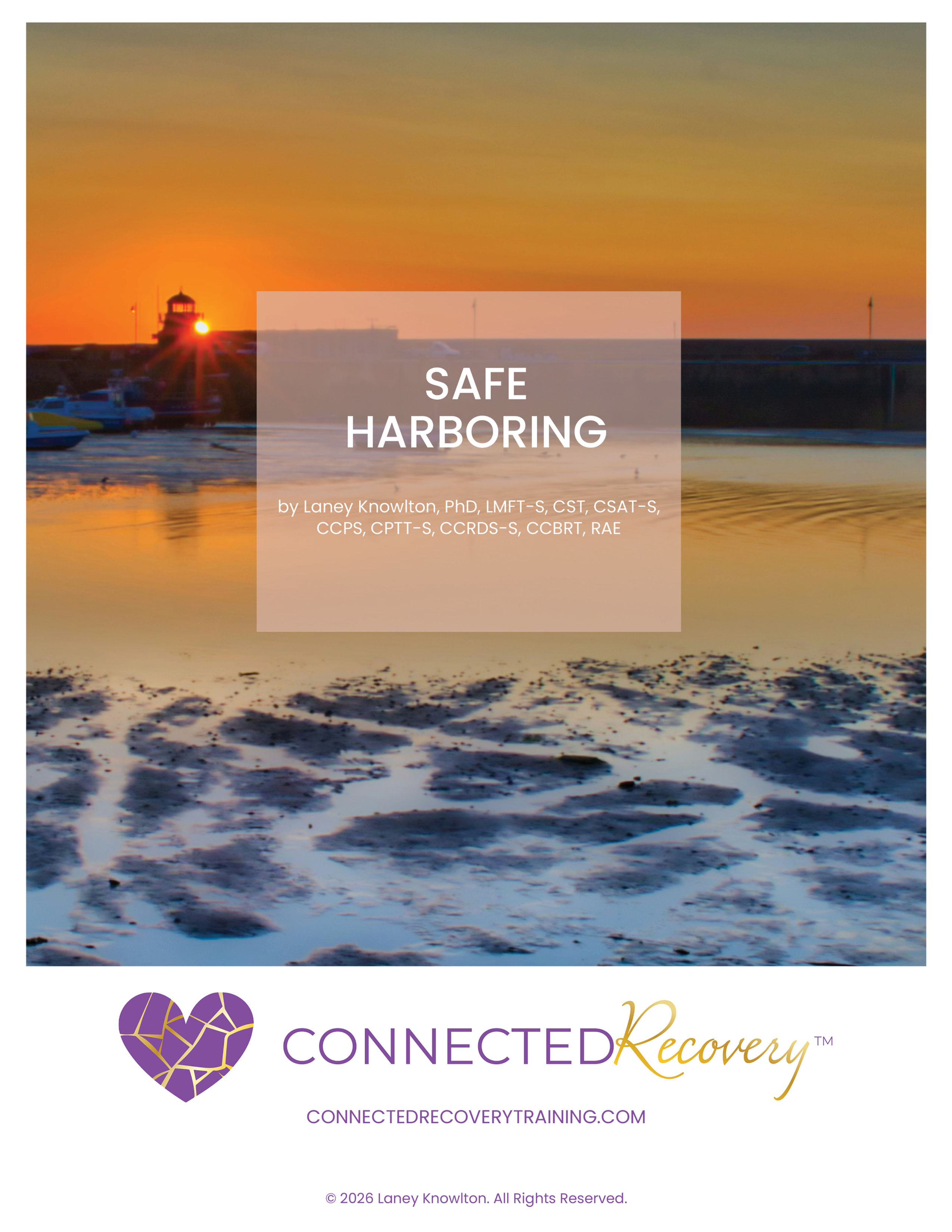 Safe Harboring Booklet
