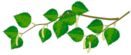 Рисунок12.gif