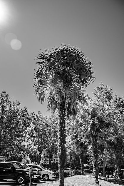 IMG_3189.jpg