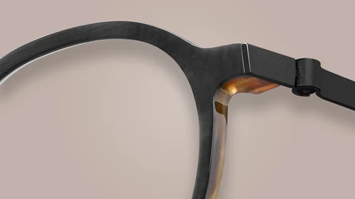 LINDBERG Buffalo Horn Titanium 1823 Spectacle Factory