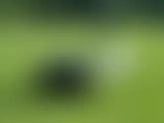 Golfing