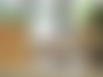 Eco Eyewear Collection