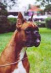 Elmonte´s_Anais-Anais
