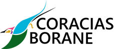 Coracias Borane.png