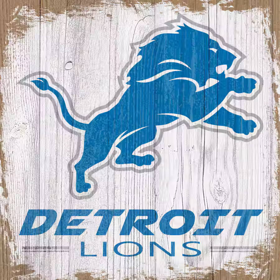 DETROIT LIONS GAME