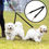 Thumbnail: One For Two Traction Leash 