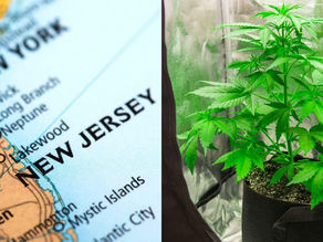 New Jersey Lawmakers Push Legislation Banning Intoxicating Hemp Derivatives