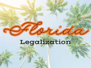 Florida Cannabis Legalization Ballot Initiative Sets Records for Political Donations
