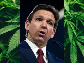 Florida Governor Plans to Veto Bill Banning Intoxicating Hemp Derivatives in a Perplexing Twist to the Ongoing Civil War Between Hemp and Cannabis